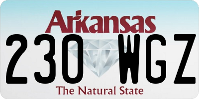 AR license plate 230WGZ