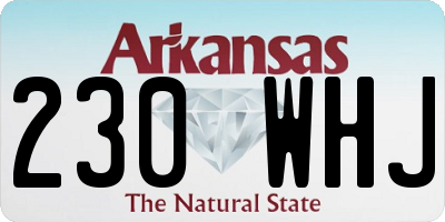 AR license plate 230WHJ