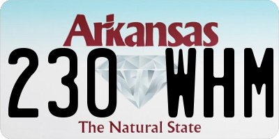 AR license plate 230WHM