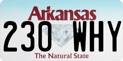 AR license plate 230WHY