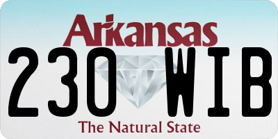 AR license plate 230WIB