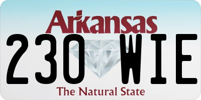 AR license plate 230WIE