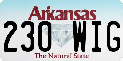 AR license plate 230WIG