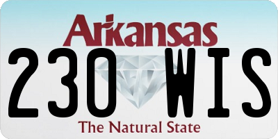 AR license plate 230WIS