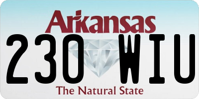 AR license plate 230WIU