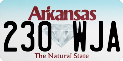 AR license plate 230WJA