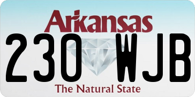 AR license plate 230WJB