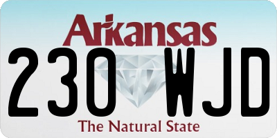 AR license plate 230WJD