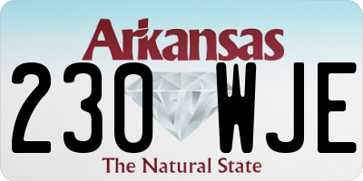 AR license plate 230WJE