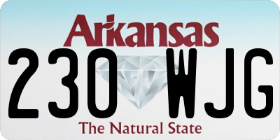 AR license plate 230WJG