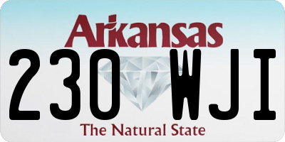 AR license plate 230WJI
