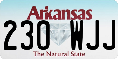 AR license plate 230WJJ