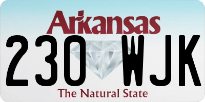 AR license plate 230WJK