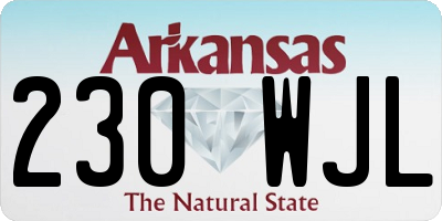 AR license plate 230WJL