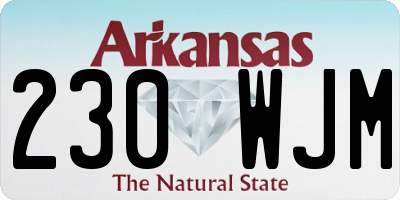 AR license plate 230WJM