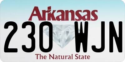 AR license plate 230WJN