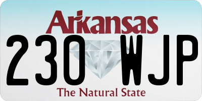 AR license plate 230WJP