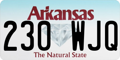 AR license plate 230WJQ