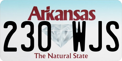 AR license plate 230WJS