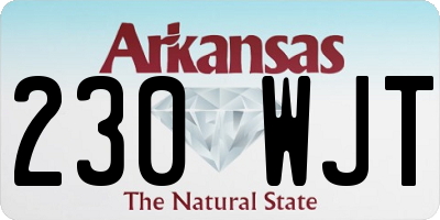 AR license plate 230WJT