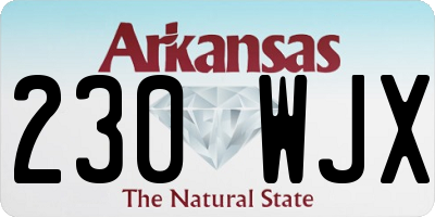 AR license plate 230WJX