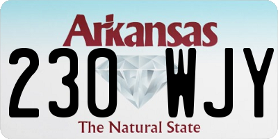 AR license plate 230WJY