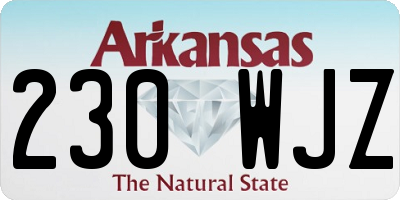 AR license plate 230WJZ
