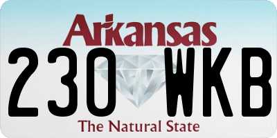 AR license plate 230WKB