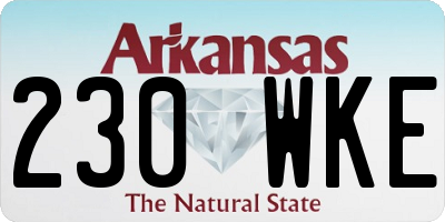 AR license plate 230WKE