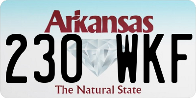 AR license plate 230WKF