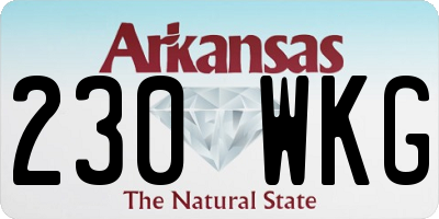AR license plate 230WKG