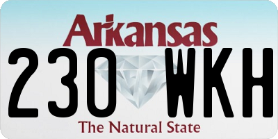 AR license plate 230WKH