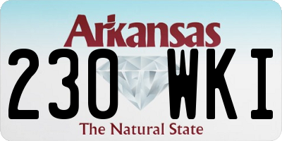AR license plate 230WKI