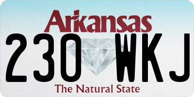 AR license plate 230WKJ