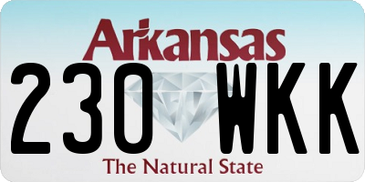 AR license plate 230WKK