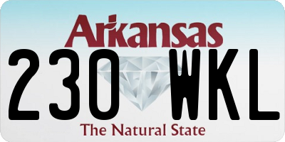 AR license plate 230WKL