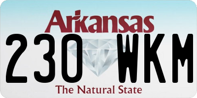 AR license plate 230WKM
