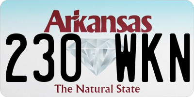 AR license plate 230WKN