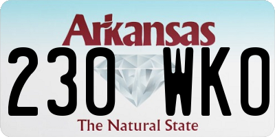 AR license plate 230WKO
