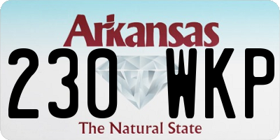 AR license plate 230WKP