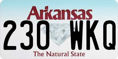 AR license plate 230WKQ