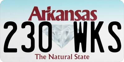 AR license plate 230WKS