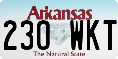 AR license plate 230WKT