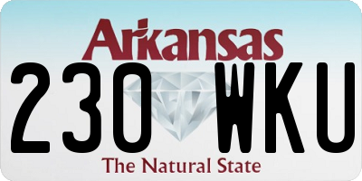AR license plate 230WKU