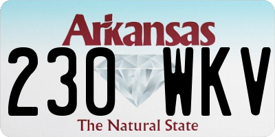 AR license plate 230WKV