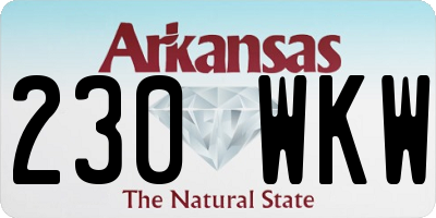 AR license plate 230WKW