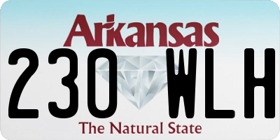 AR license plate 230WLH