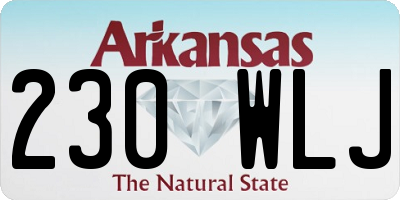 AR license plate 230WLJ