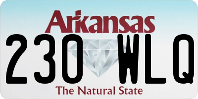 AR license plate 230WLQ
