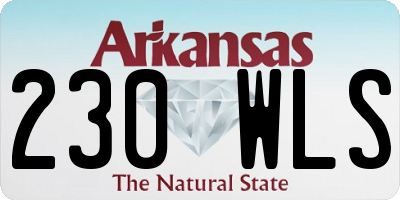 AR license plate 230WLS